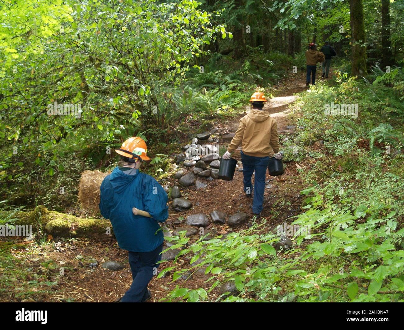 September 29, 2009. Estacada, ODER. Holz See Job Corps Center Studenten zu Fuß zu einem streamside Restaurierung auf dem Clackamas River. Das Projekt verbessert die Laichgebiete der gebürtigen Lachs auf dem Fluss. Stockfoto