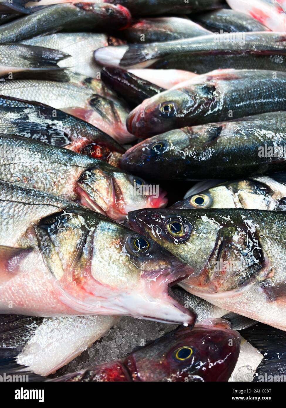 Fisch liegt auf einen Haken. Hintergrund von frischem Fisch. Fisch und Meeresfrüchte. Stockfoto