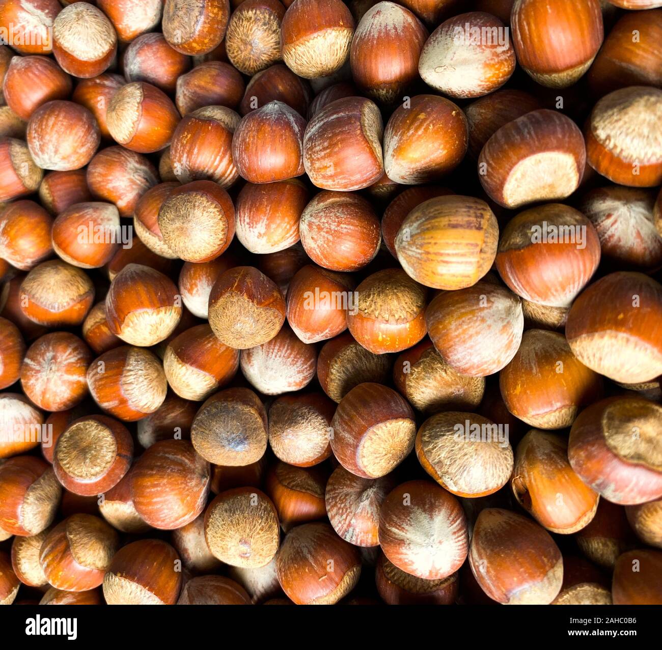 Die Haselnüsse. Hintergrund aus Nüssen. Photowall-Papier. Natürliche Lebensmittel. Stockfoto