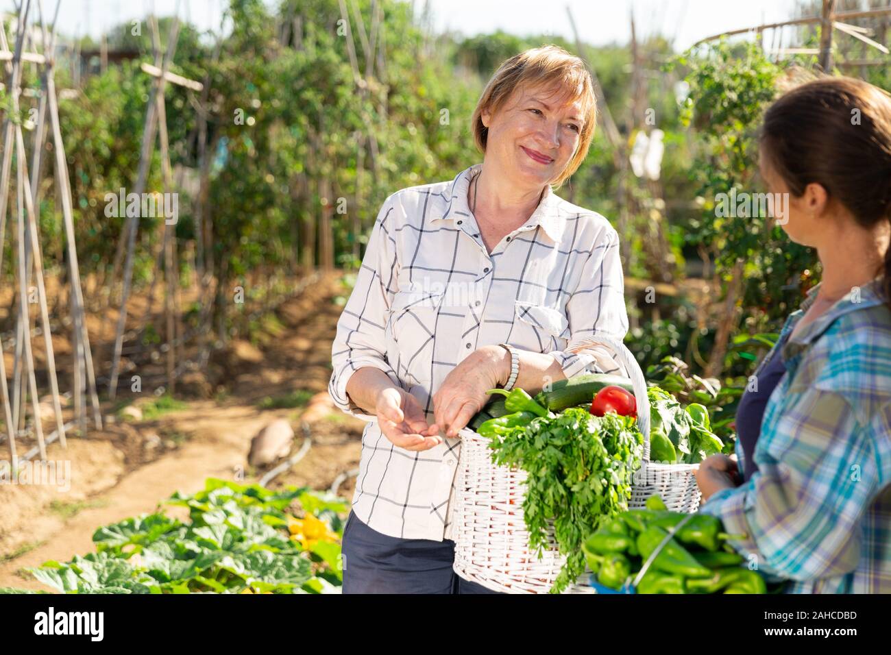 Portrait von lächelnden reife Frau Gärtner im Garten mit Gemüse gesammelt und im Gespräch mit jungen Nachbarin Stockfoto