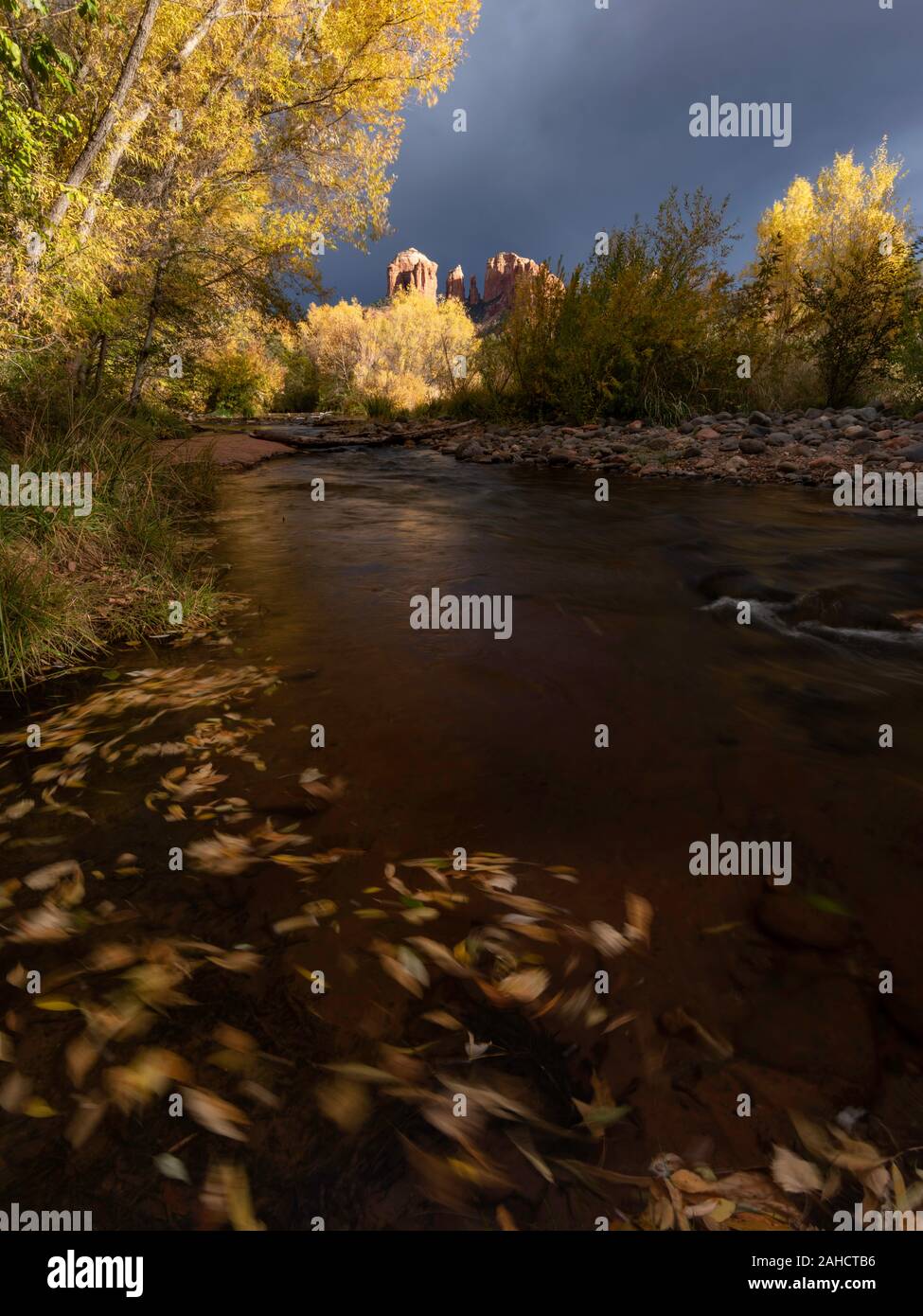 Herbst Farbe und stormlight am Oak Creek und Cathedral Rocks, Red Rock Kreuzung Park, Sedona Stockfoto