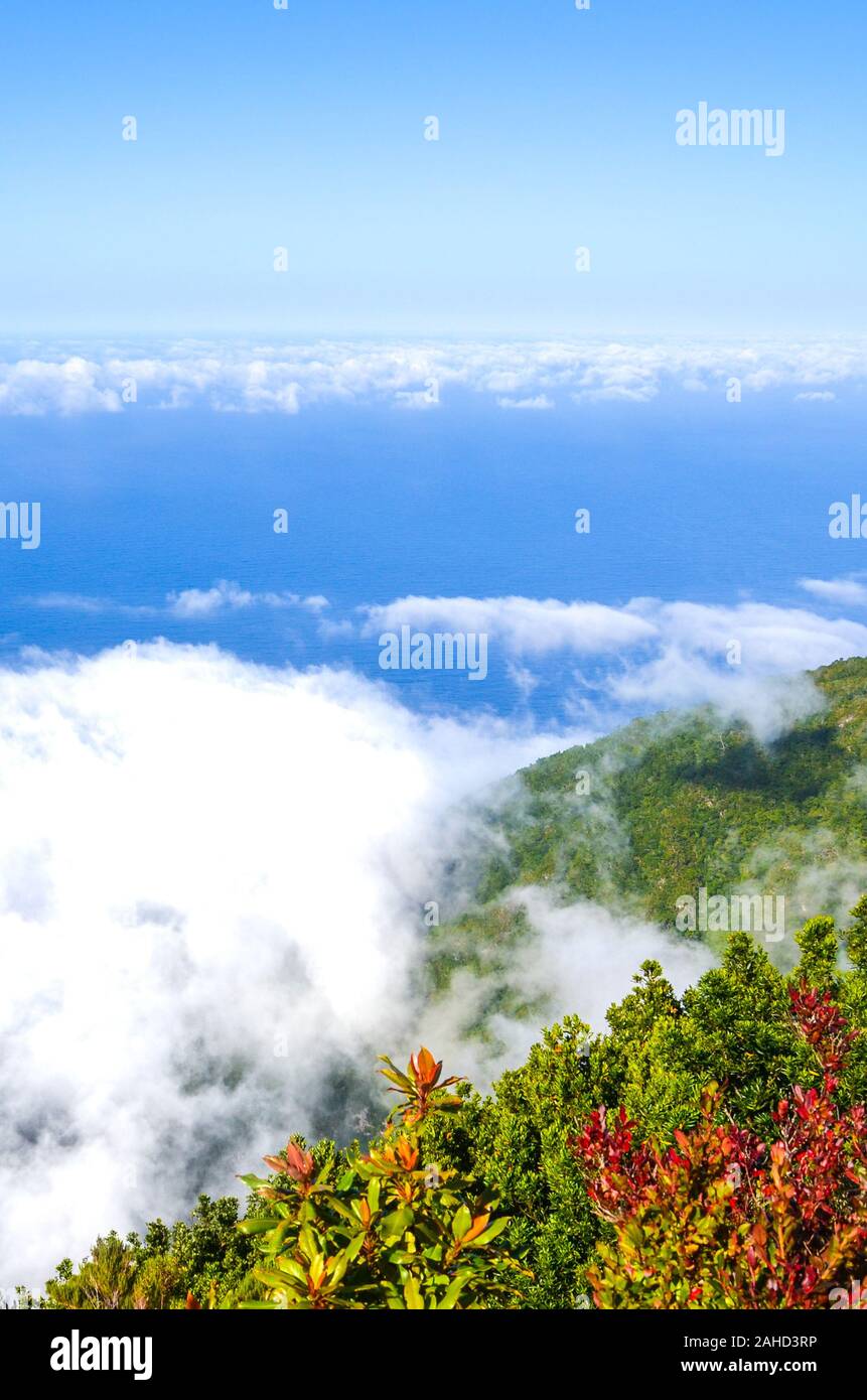 Aussichtspunkt in Fanal, Madeira, Portugal. Von der Ebene über den Wolken fotografiert. Alten Lorbeerwald auf einem Hügel im Hintergrund. Blauen Wasser des Atlantischen Ozeans, weiße Wolken von oben. Stockfoto