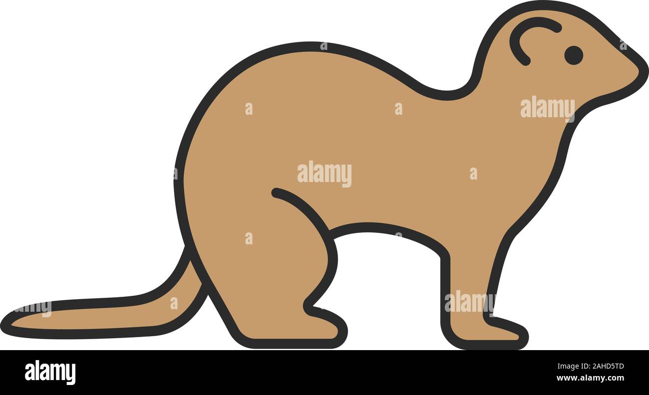 Frettchen Farbe Symbol. Iltis. Isolierte Vector Illustration Stock Vektor