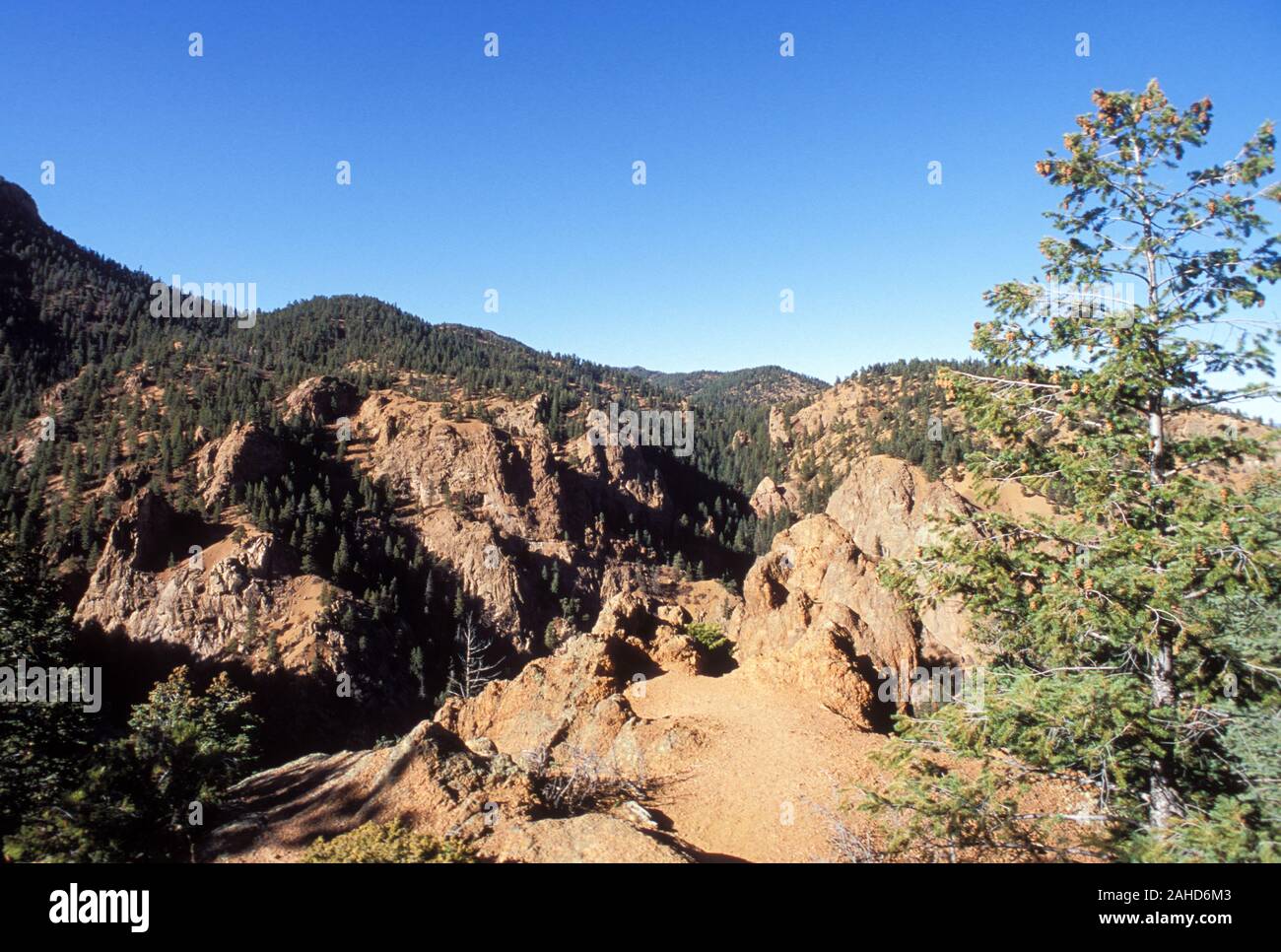 Sieben Fälle/Mt. Cutler, Pikes Peak Region, Colorado Stockfoto