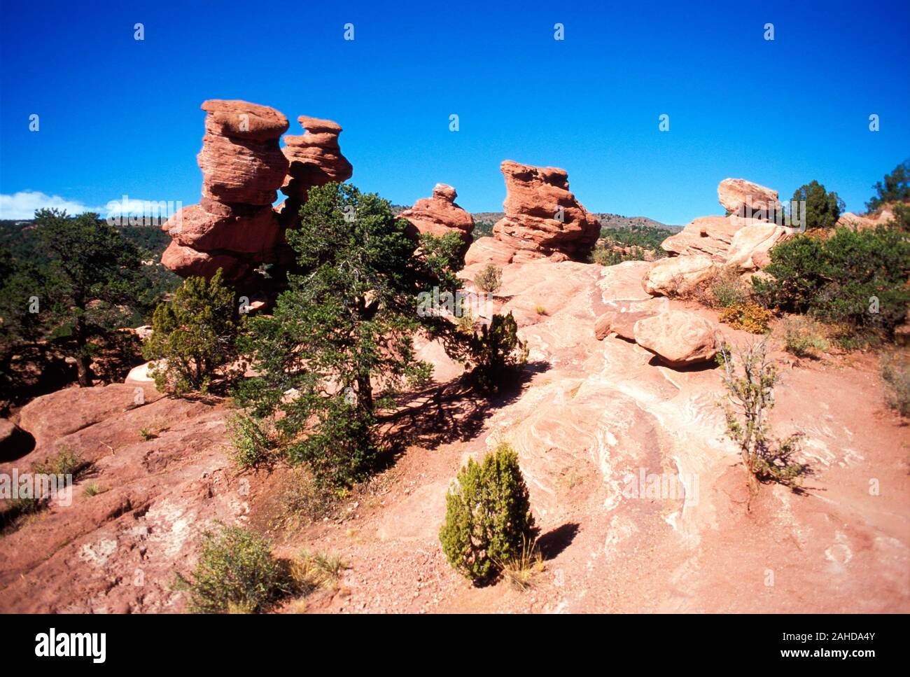 Siamesische Zwillinge, Garten der Götter, Manitou Springs, Colorado Stockfoto