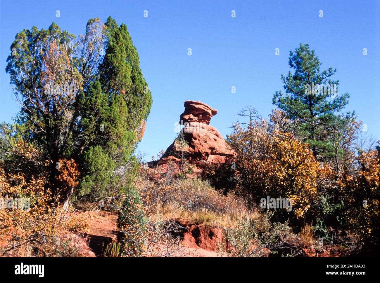 Scotsman, Garten der Götter, Manitou Springs, Colorado Stockfoto