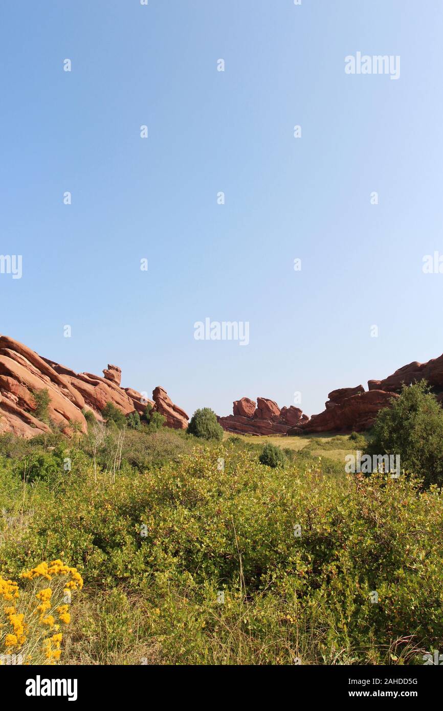 Praire Stauden und Gräser vor der hoch aufragenden roten Felsformationen auf der Trading Post Trail im Red Rock State Park, Colorado, USA Stockfoto