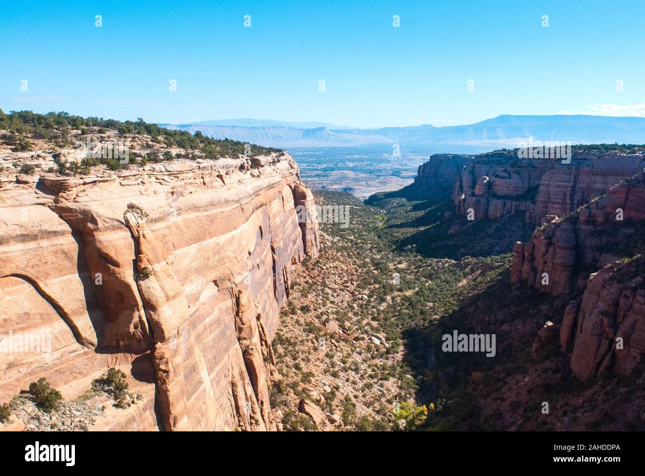 Red Canyon Overlook, Colorado National Monument Stockfoto