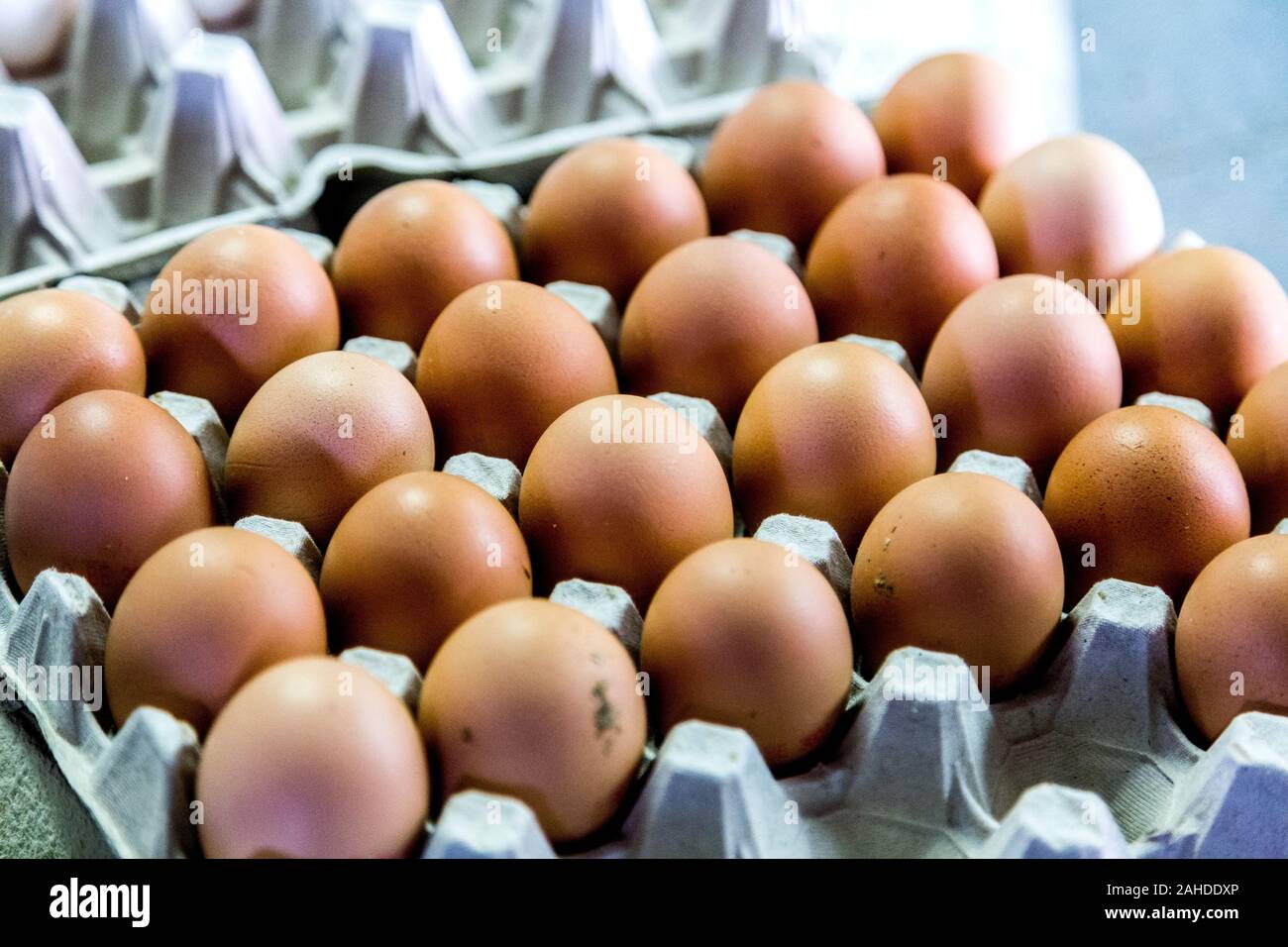 Wie Lange Halten Frische Eier Vom Bauern Frisch vom bauernhof -Fotos und -Bildmaterial in hoher Auflösung – Alamy