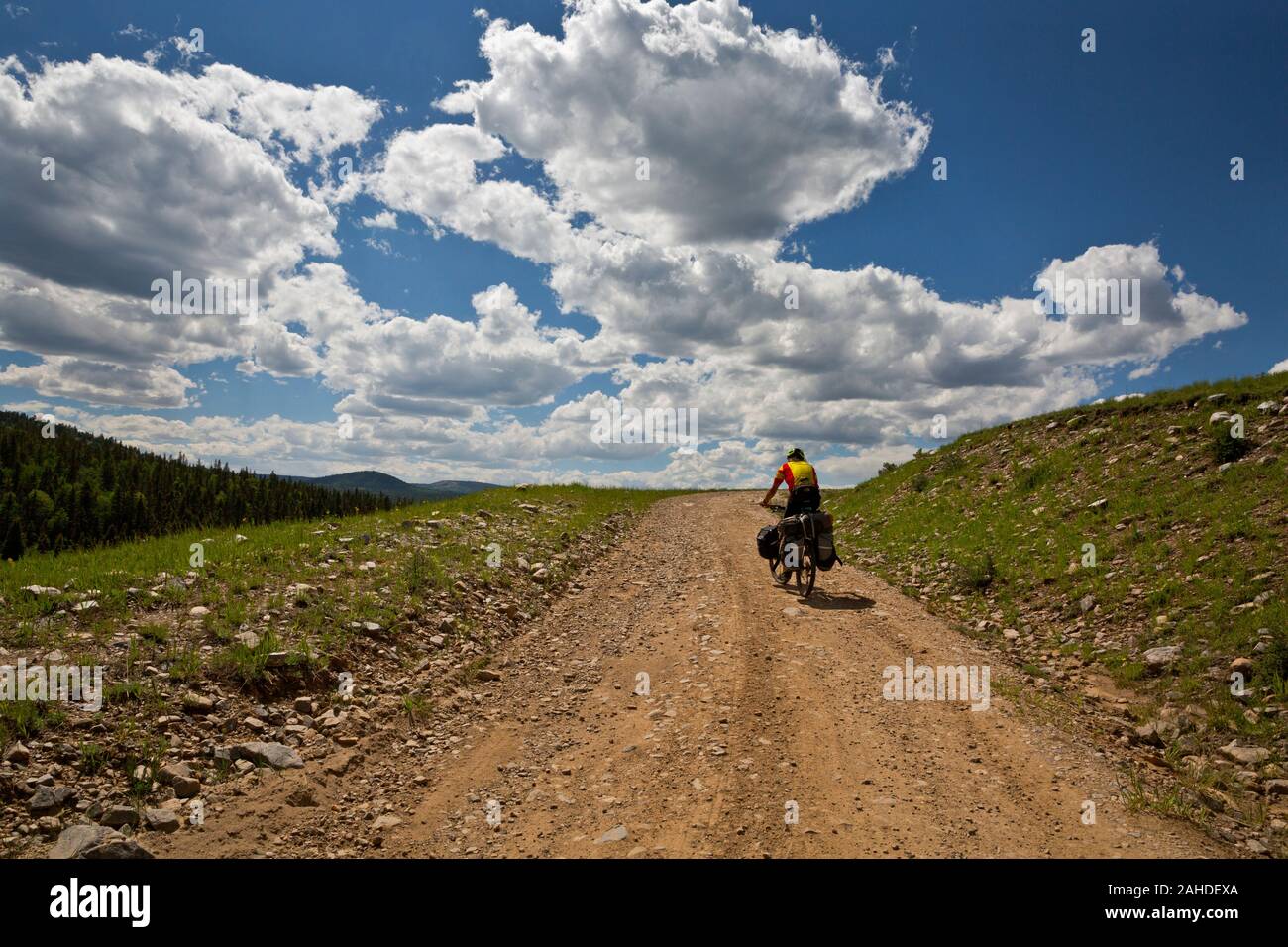 NM 00234-00 ... NEW MEXICO - Radfahrer Klettern Die Hügel auf Forststraße 27 im Santa Fe National Forest im Süden von Los Altos auf der Great Divide Mountain Bik Stockfoto
