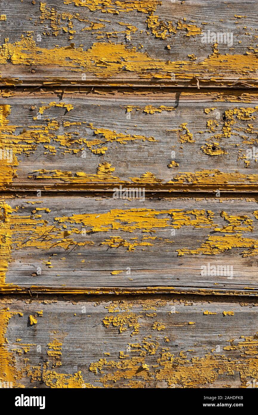 Im Hintergrund der Wand der alten Holzhaus mit Fallen aus gelben Lack gemacht Stockfoto