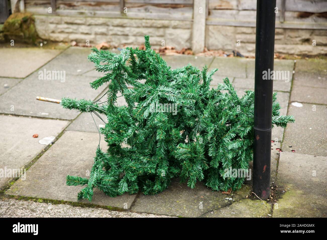 Eine weggeworfene Weihnachtsbaum links ist auf dem Bürgersteig in Haringey, nördlich von London, nur drei Tage nach Weihnachten. Stockfoto