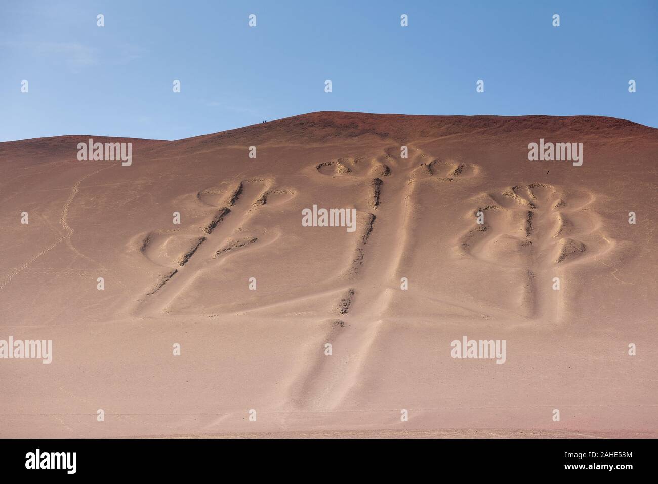 Kandelaber der Anden, Nationalpark Paracas, Peru. Nahaufnahme, horizontale Ausrichtung. Stockfoto