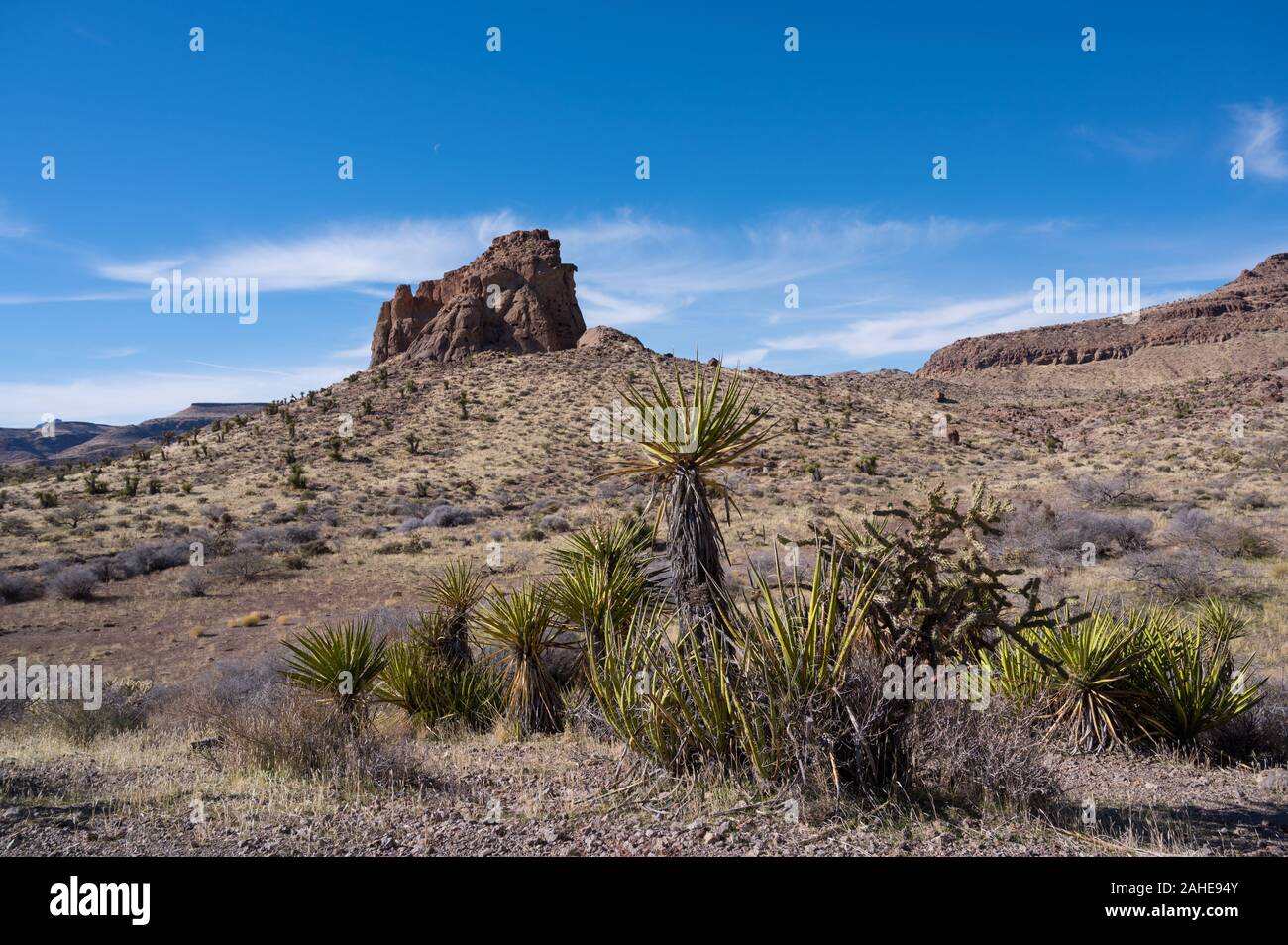 Mojave National Preserve Landschaft Stockfoto