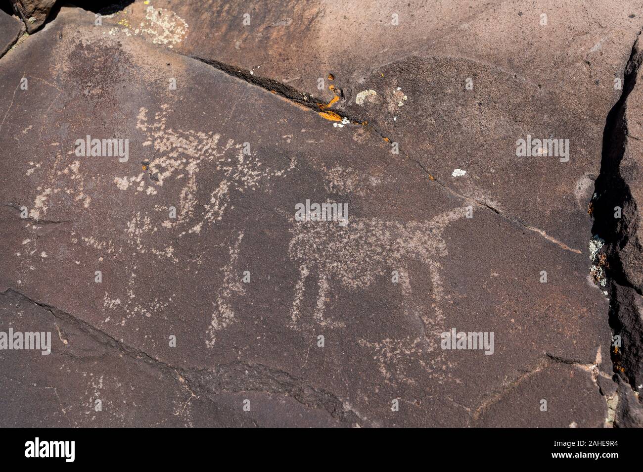 Petroglyphen (Bild auf Stein) von Indianischen Menschen des nördlichen Sinagua in Bild Canyon, Flagstaff, Arizona, USA Stockfoto
