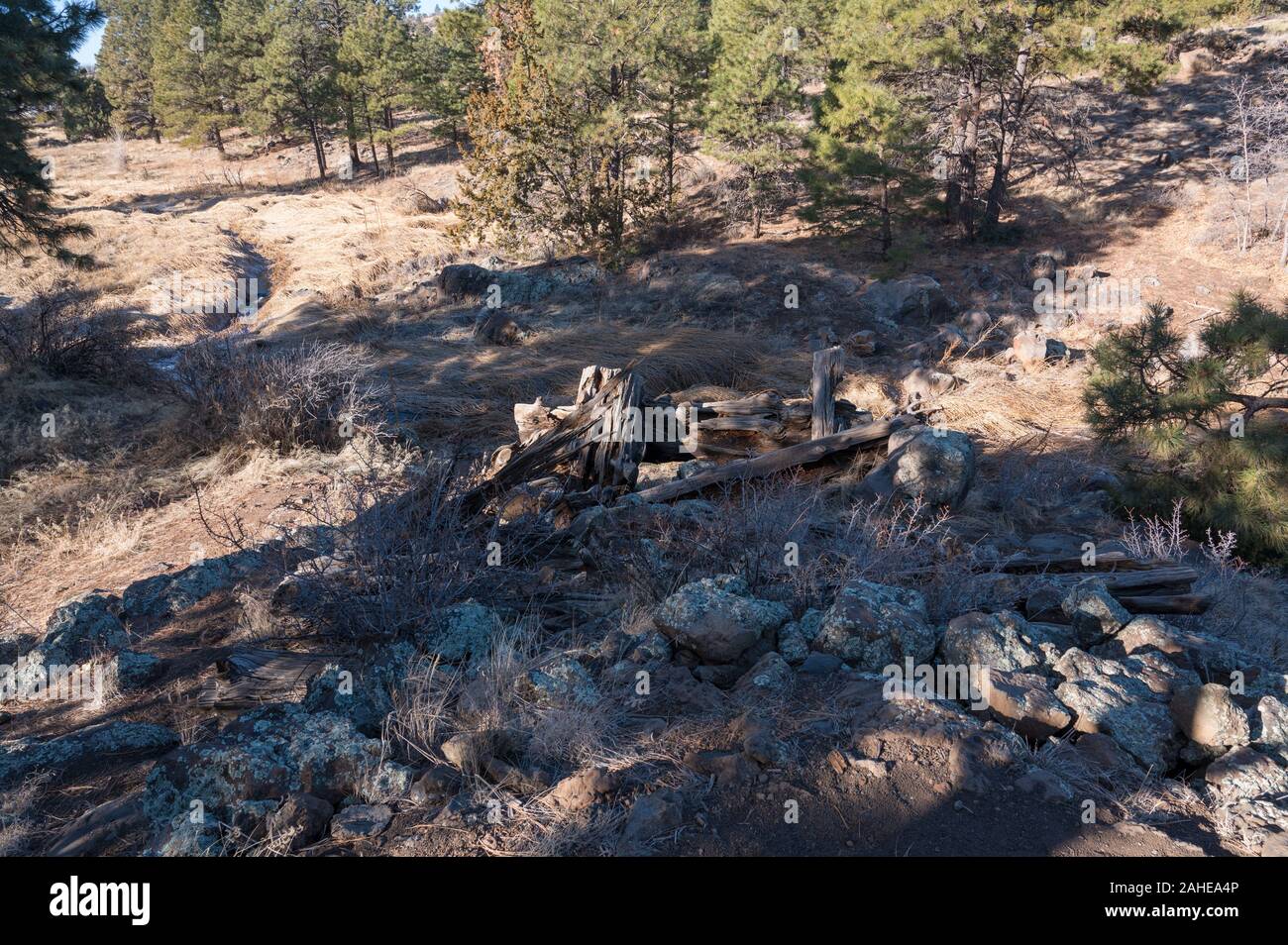 Reste eines Doubles in Bild Canyon, Flagstaff, Arizona Stockfoto