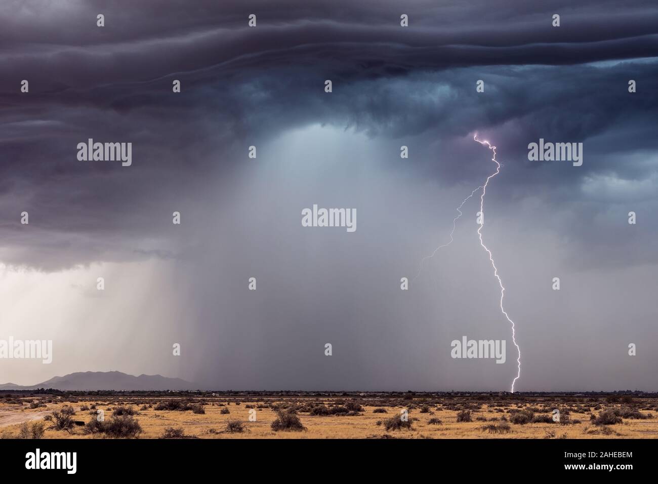 Gewitterblitze und dramatische Gewitterwolken über Casa Grande, Arizona Stockfoto