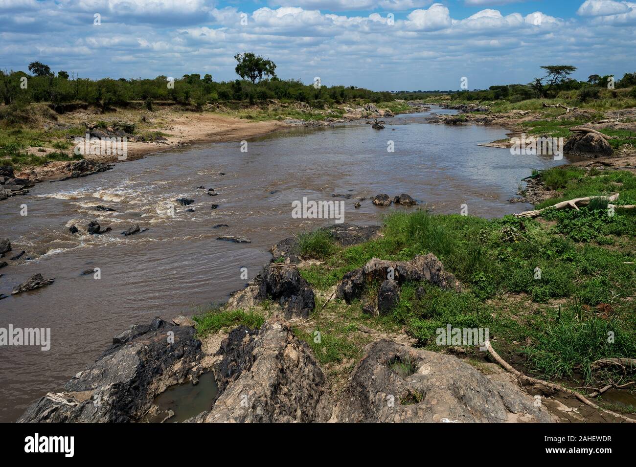 Sand River, Masai Mara, Kenia, Afrika Stockfoto