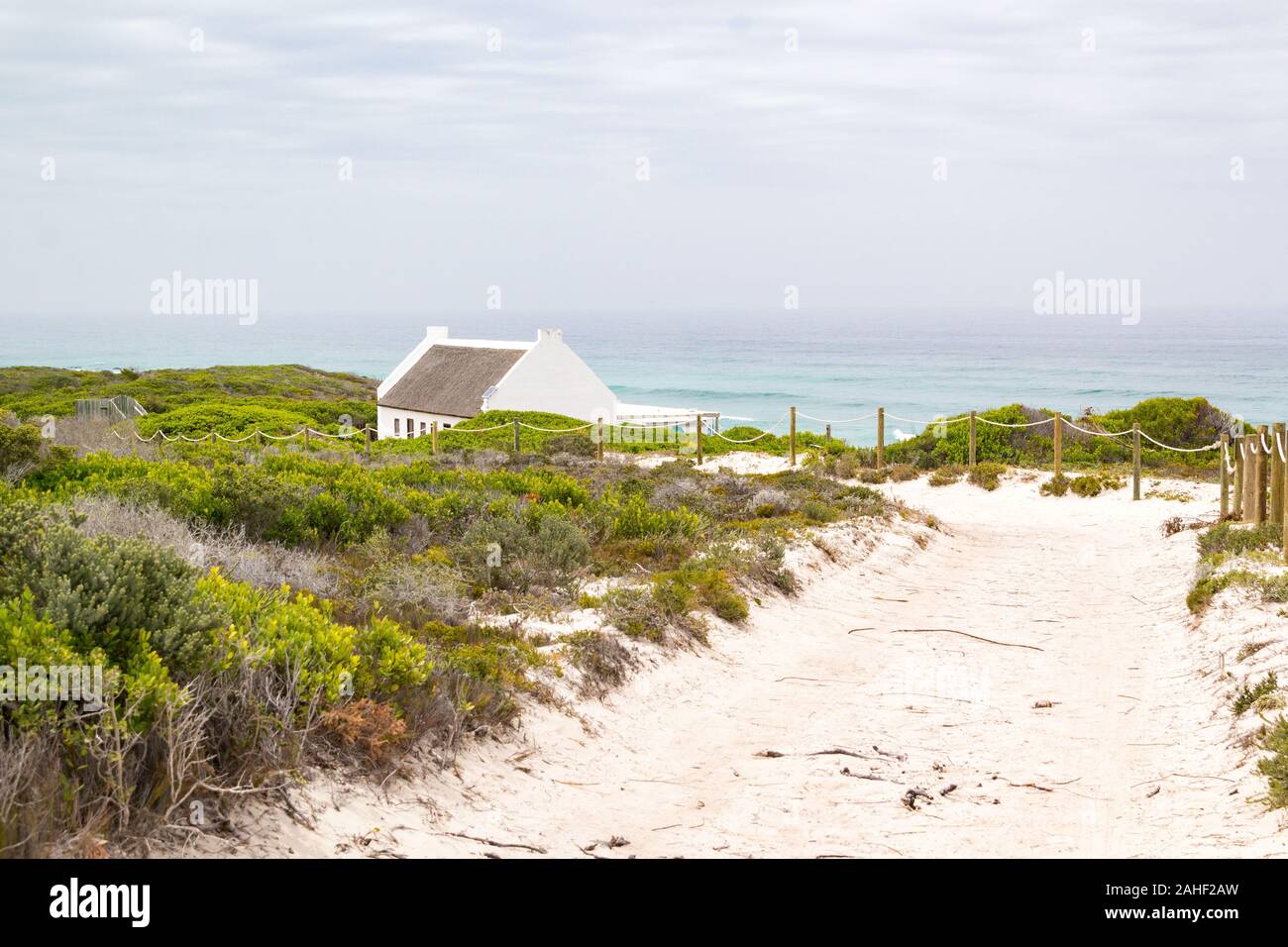 Küste mit Sand zur Ozean mit umliegenden Fynbos Vegetation, De Hoop Nature Reserve, Südafrika Stockfoto