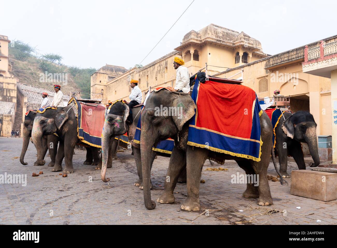 Dekoriert Elefanten bei Fort Amber in Jaipur, Indien Stockfoto