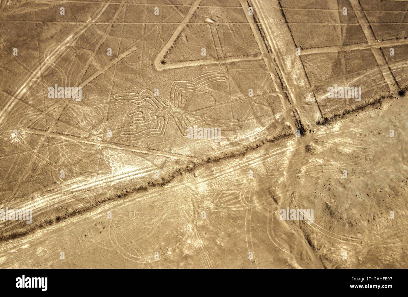 Luftaufnahme der Spider Form. Die Nazca-linien sind eine Gruppe von sehr großen geoglyphen von Depressionen oder seichte Einschnitte im Boden gebildet. Stockfoto