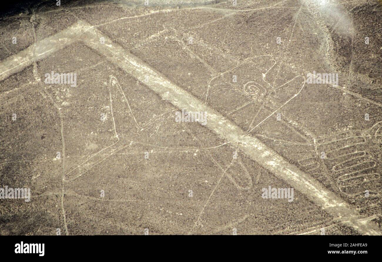 Luftaufnahme der Wal Form. Die Nazca-linien sind eine Gruppe von sehr großen geoglyphen von Depressionen oder seichte Einschnitte in den Boden der gemacht Stockfoto