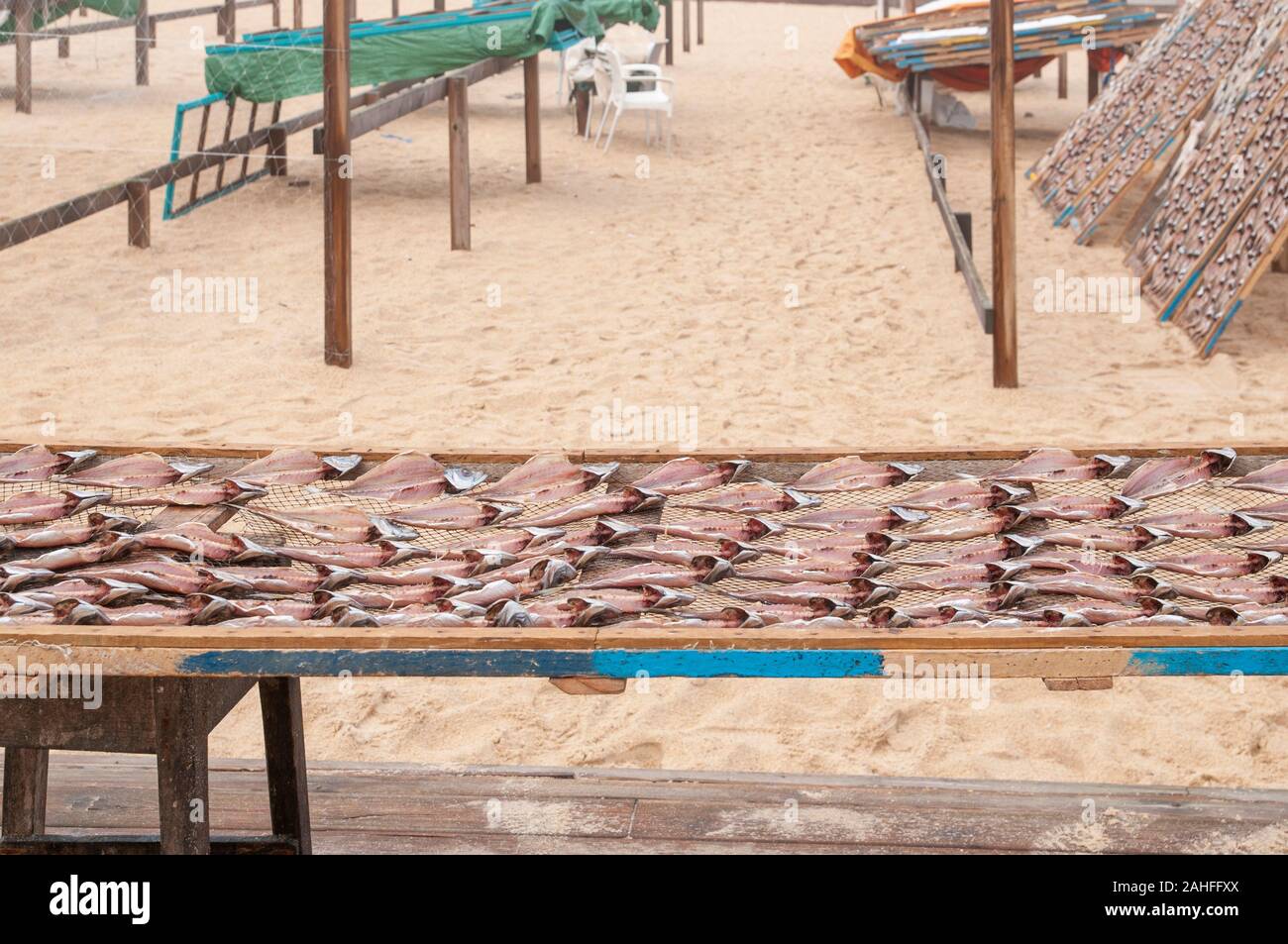 Um die Fische die portugiesischen Fischer trocknen sie die Fische in der Sonne am Strand zu bewahren. In Nazare, Portugal fotografiert. Stockfoto