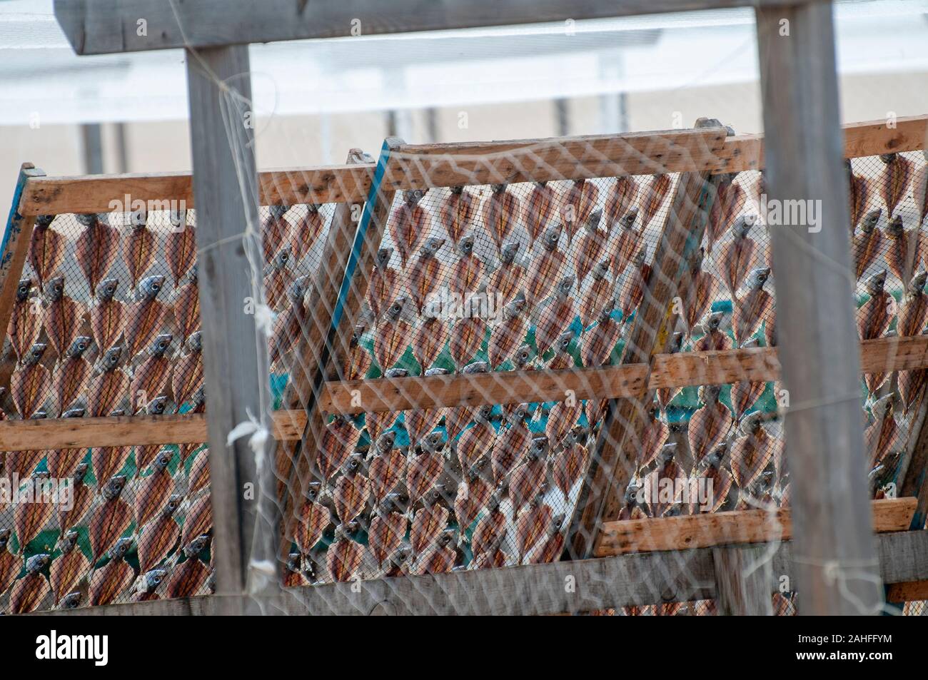 Um die Fische die portugiesischen Fischer trocknen sie die Fische in der Sonne am Strand zu bewahren. In Nazare, Portugal fotografiert. Stockfoto