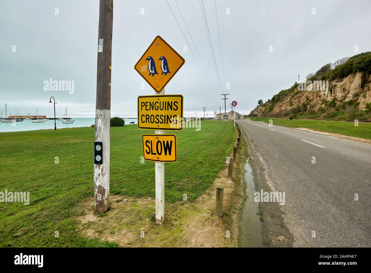 Penguins crossing sign in den Straßen von Oamaru Neuseeland Stockfoto