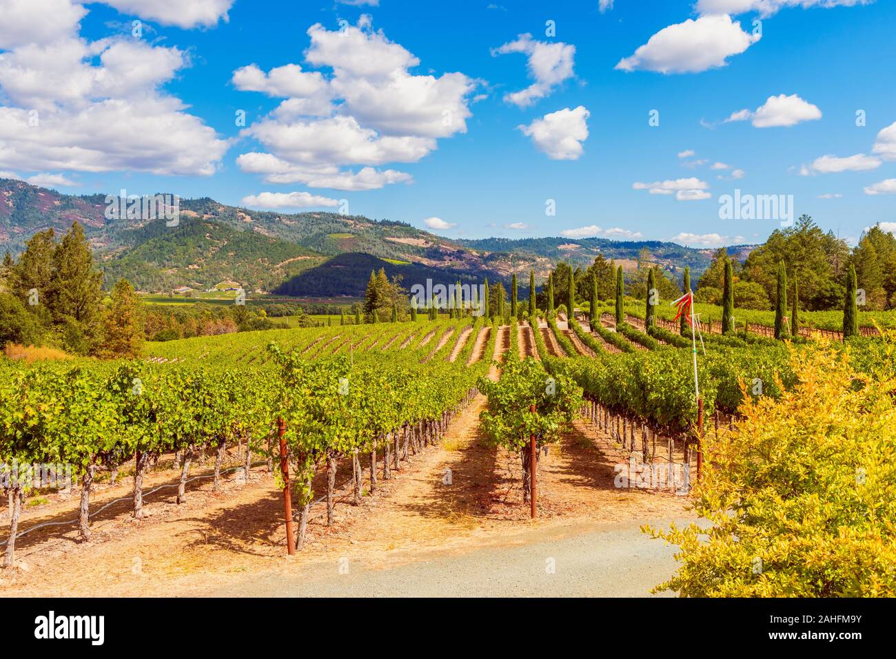 Weingüter im Napa Valley Kalifornien USA Stockfoto