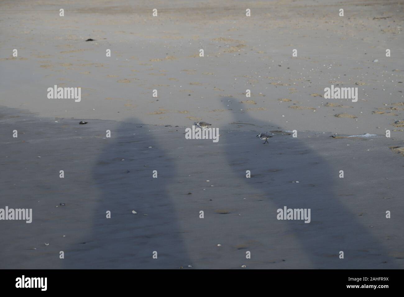Schatten eines Männlichen und Weiblichen im Sand Stockfoto