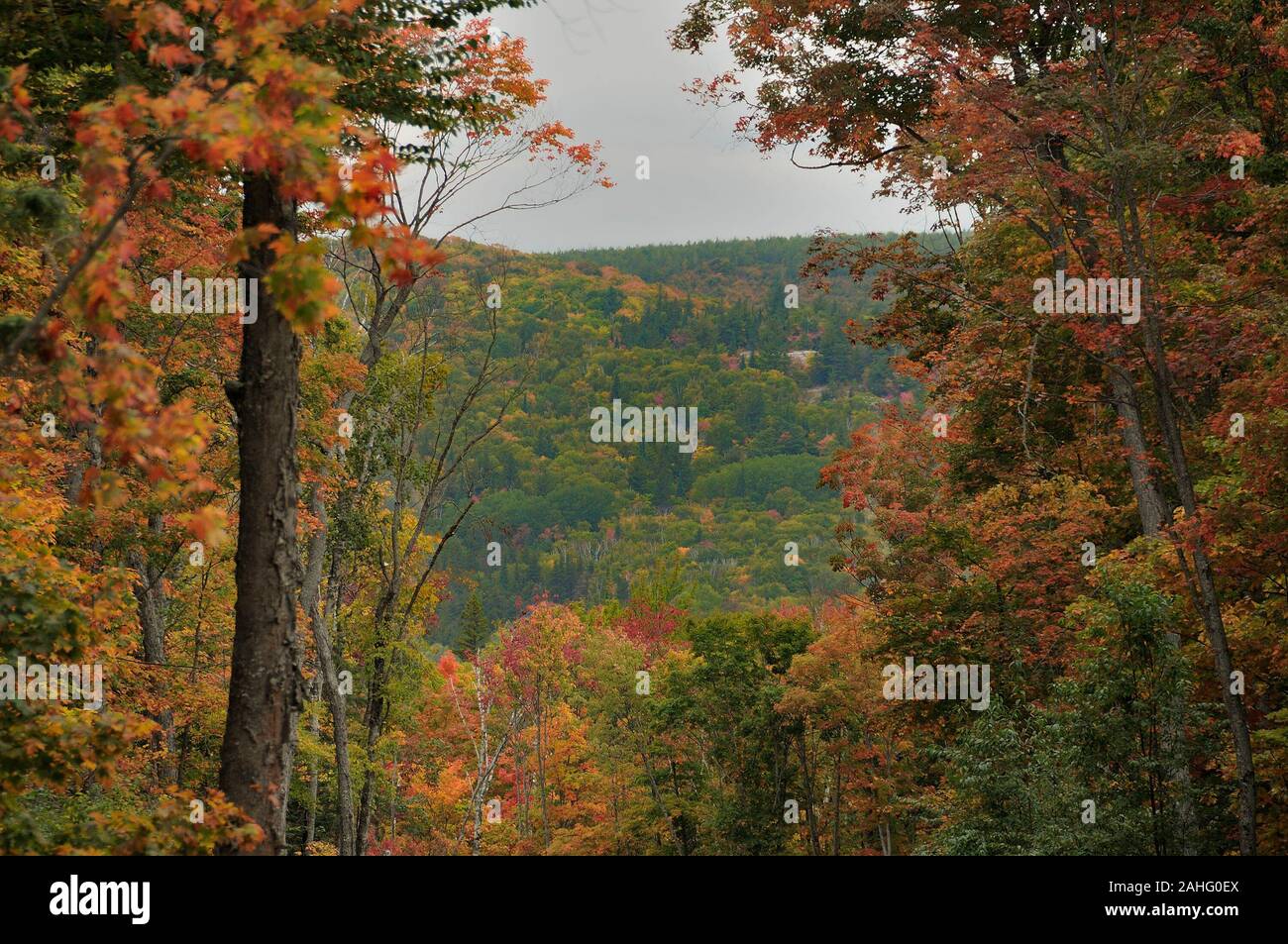 Herbst Landschaft Landschaft mit bunten Natur Szene mit bunten Bäumen. Stockfoto