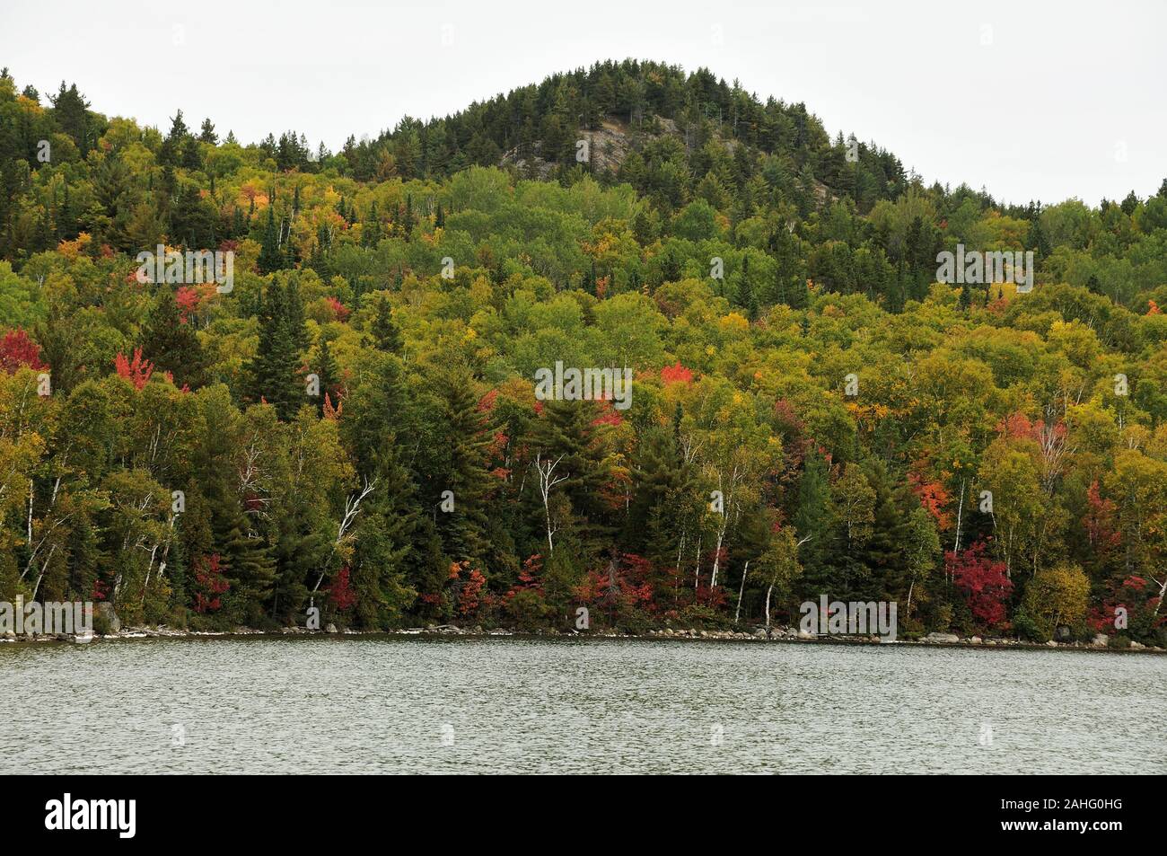 Herbst Landschaft Landschaft mit bunten Natur Szene. Stockfoto