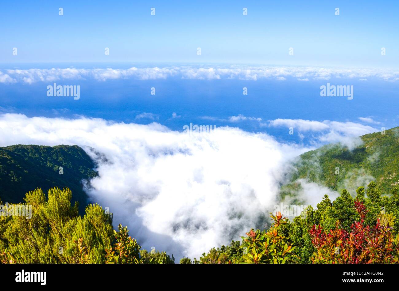 Atemberaubende Aussicht von Fanal, Madeira, Portugal. Von der Ebene über den Wolken fotografiert. Alten Lorbeerwald auf einem Hügel im Hintergrund. Blauen Wasser des Atlantischen Ozeans, weiße Wolken von oben. Stockfoto