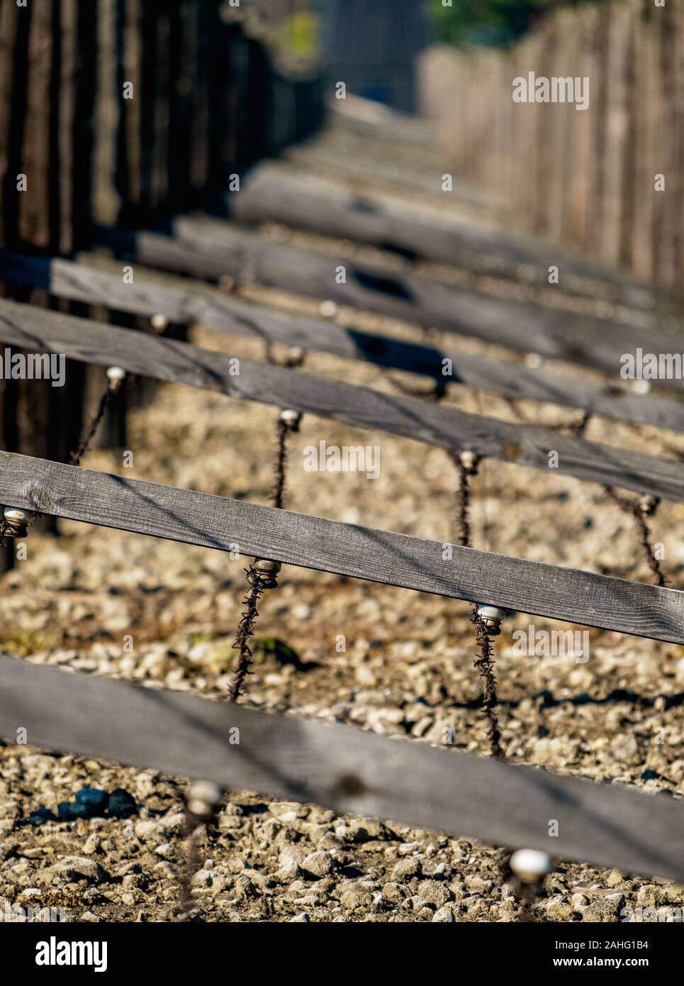 Stacheldraht, Detailansicht, Majdanek, deutscher NS-Konzentrations- und Vernichtungslager, Woiwodschaft Lublin, Lublin, Polen Stockfoto