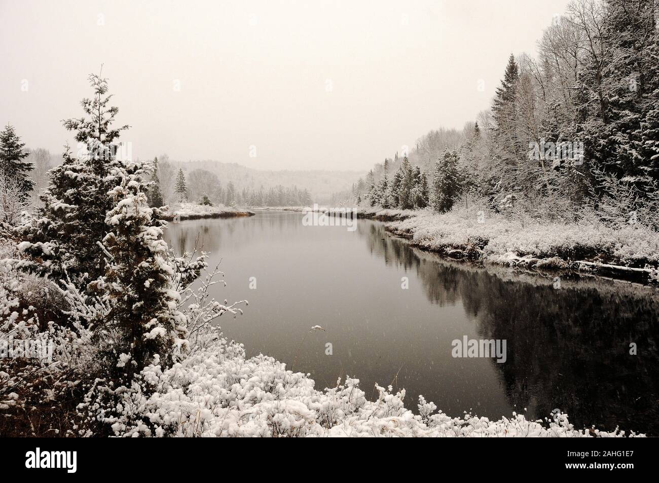 Winterlandschaft mit Frost Bäume mit Schnee durch den Fluss seine Schönheit in der Natur. Stockfoto