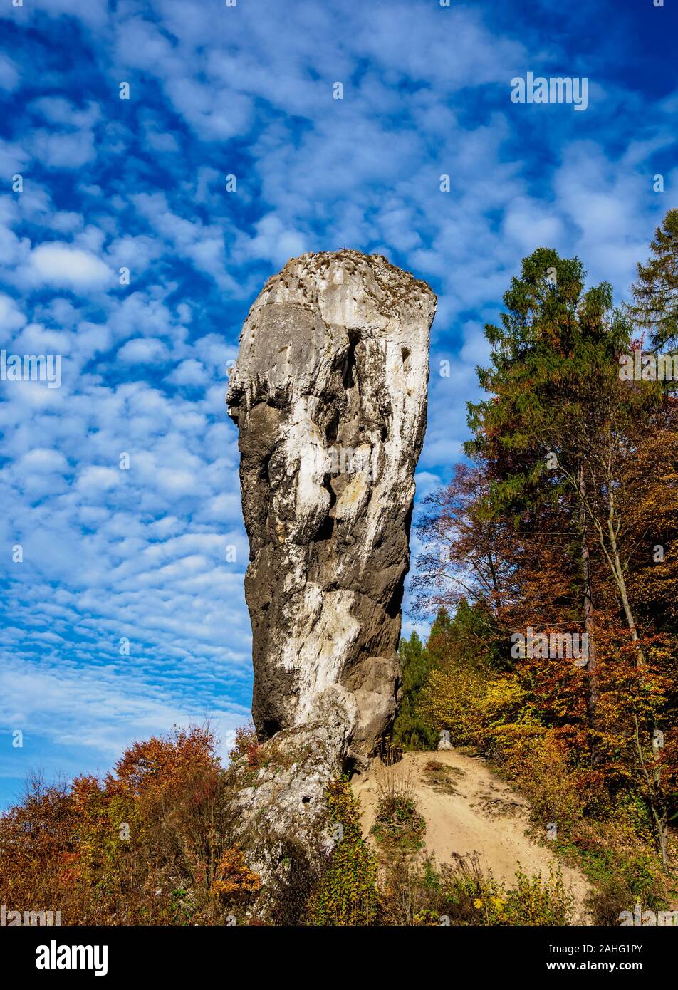 Polnische Natur Stockfotos und bilder Kaufen Alamy