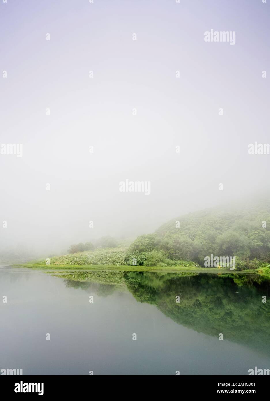 Poco da Alagoinha auf einem nebligen Tag, Ribeira Grande, Flores, Azoren, Portugal Stockfoto