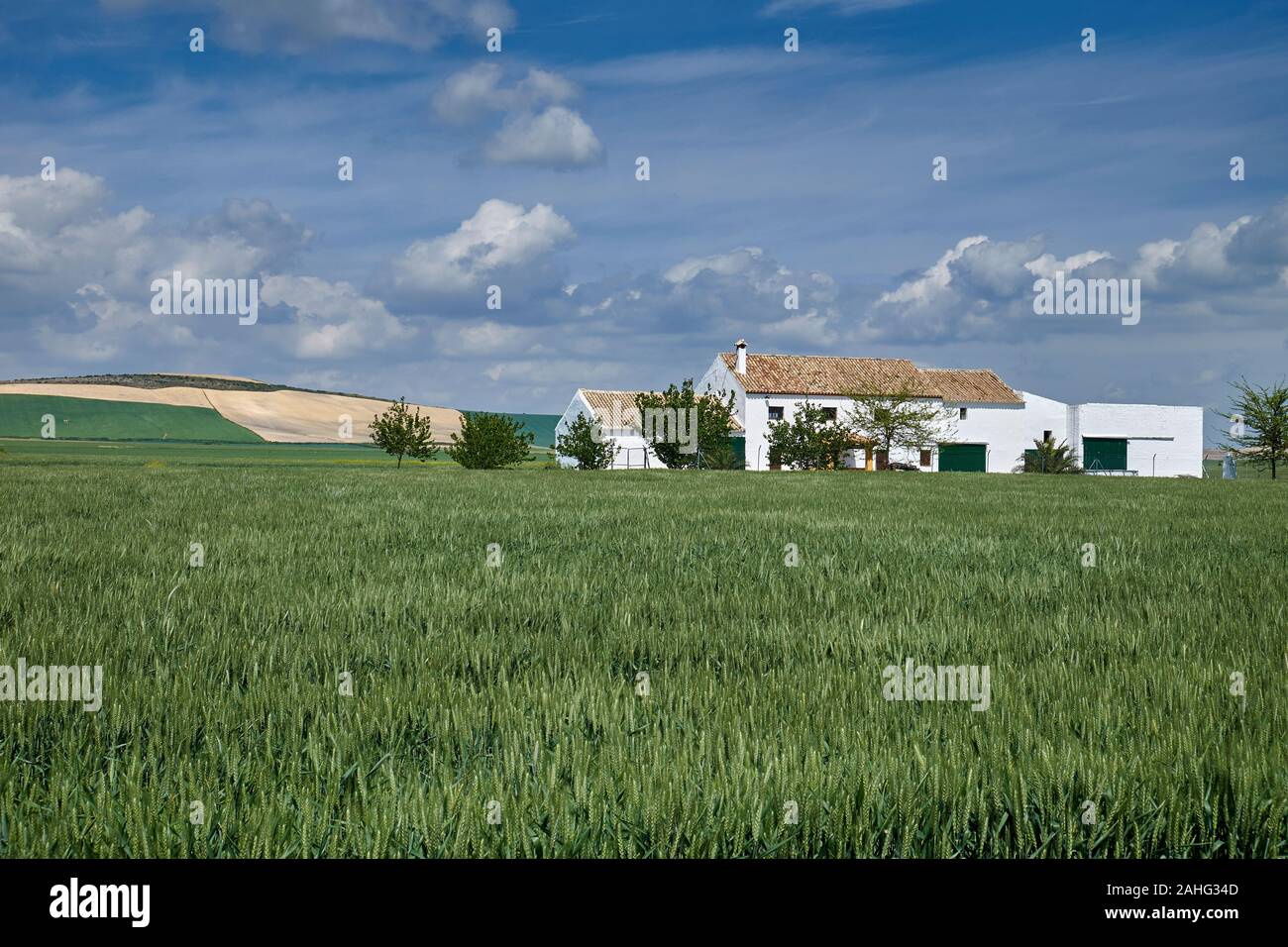 Extremadura Ackerland, Spanien Stockfoto