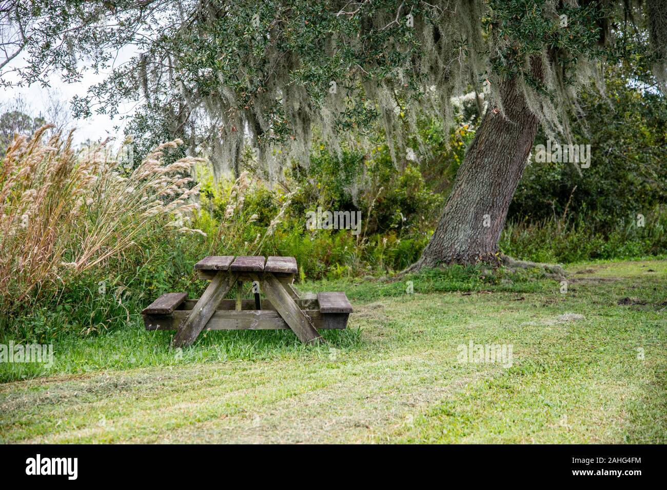 Private Picknickplatz mit gemähtem Gras Stockfoto