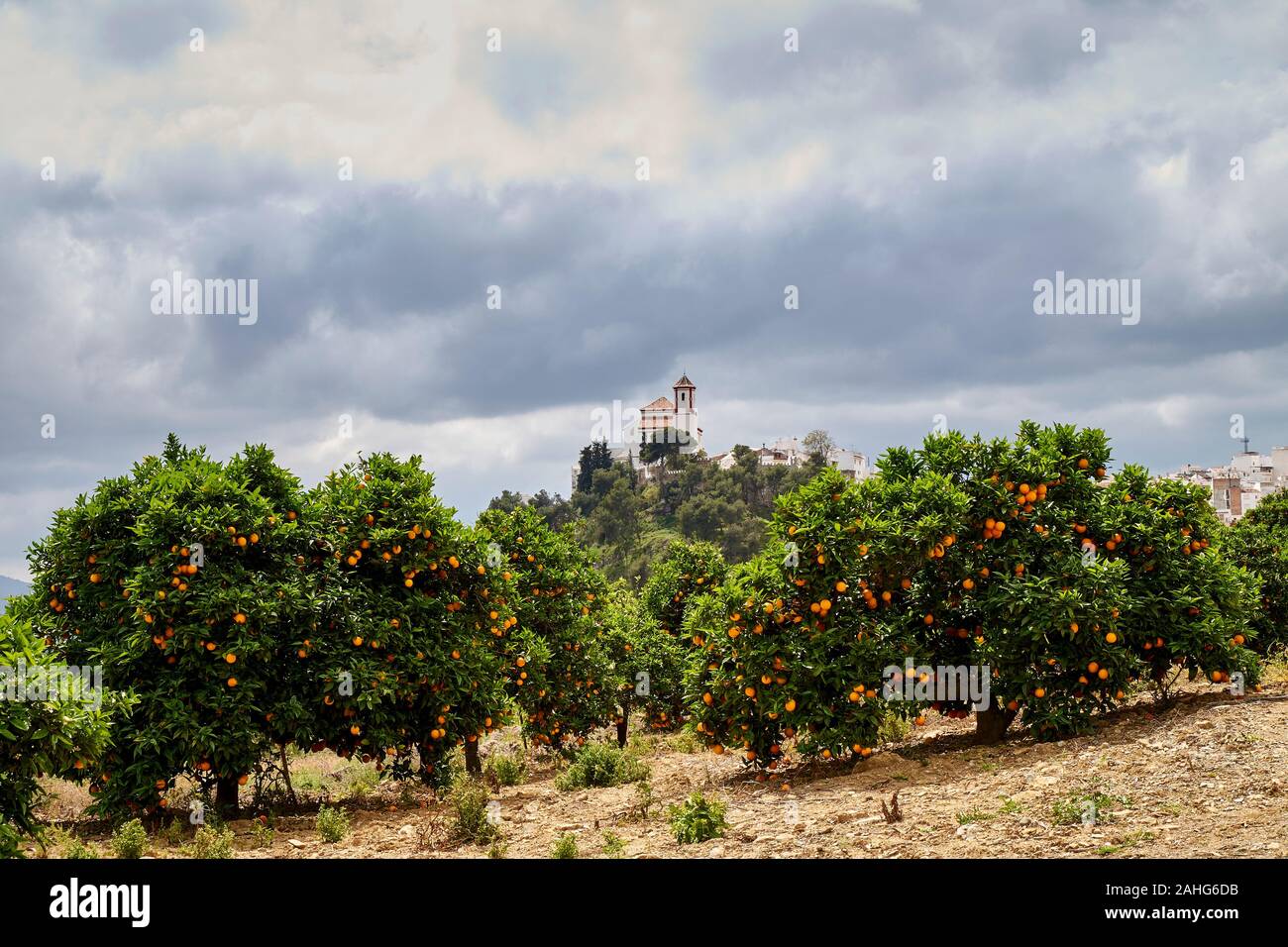 Weiße Dörfer und Städte in Andalusien, Spanien Stockfoto