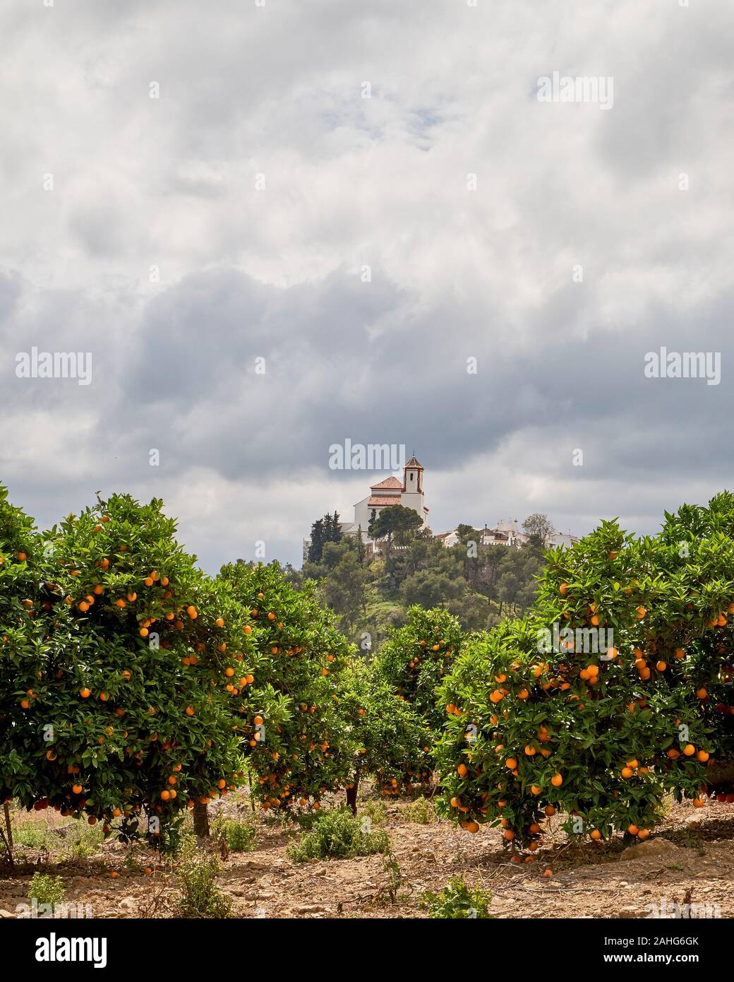 Weiße Dörfer und Städte in Andalusien, Spanien Stockfoto