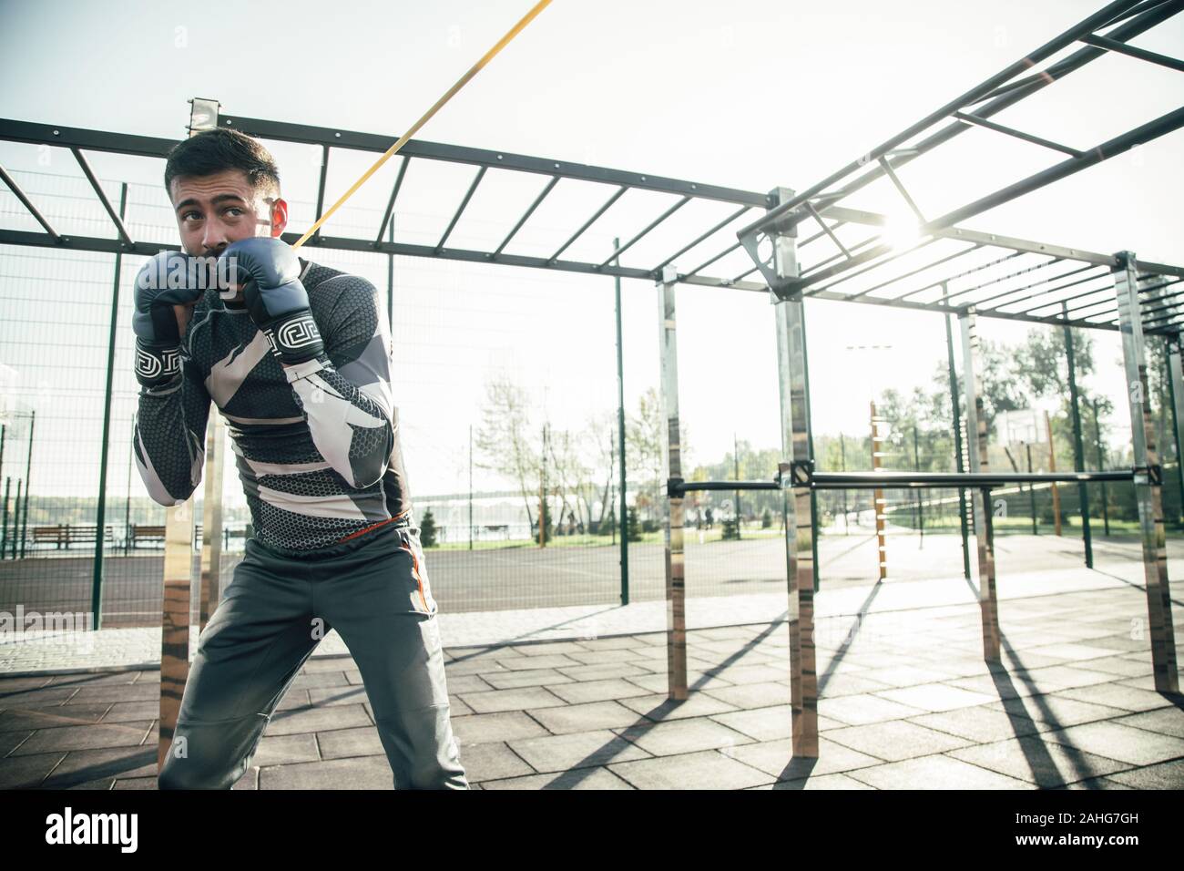 Taille, von konzentriertem Boxer suchen ernsthafte Während Haltungen Stockfoto