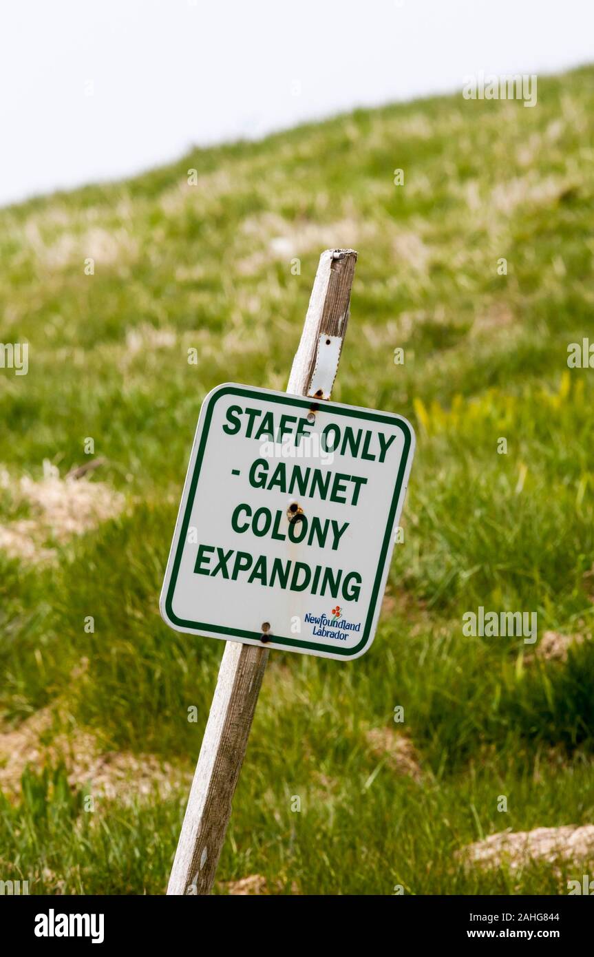 Gannet Kolonie Erweiterung Schild am Cape St. Mary's Ecological Reserve Kolonie, Neufundland. Stockfoto