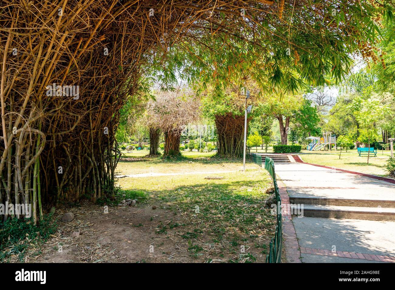 Islamabad japanische Kinder Park malerischen Atemberaubenden Blick auf die Bäume auf einem sonnigen blauen Himmel Tag Stockfoto