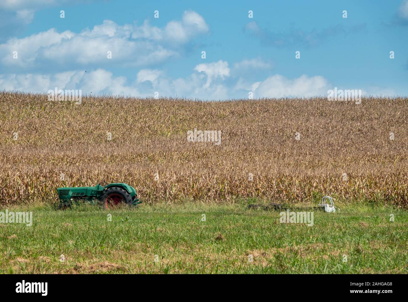 Grünen Traktor am Rand des wachsenden Feld von Mais oder Weizen mit interessanten mehrschichtigen Muster verlassen Stockfoto
