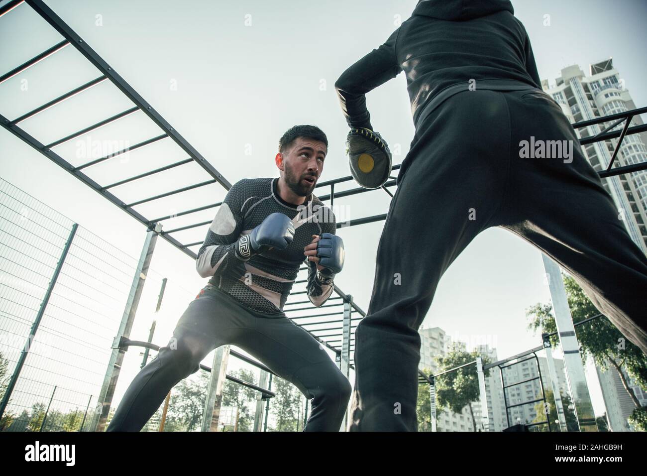 Expressive boxer Neigung zu der Trainer und suchen ernsthafte Stockfoto