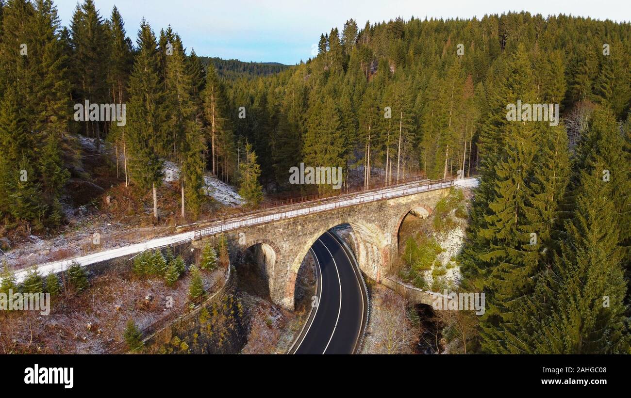 Antenne drone Ansicht eines alten Viadukt in den Wald. Hellertal Viadukt, Harz, Niedersachsen, Deutschland. Stockfoto