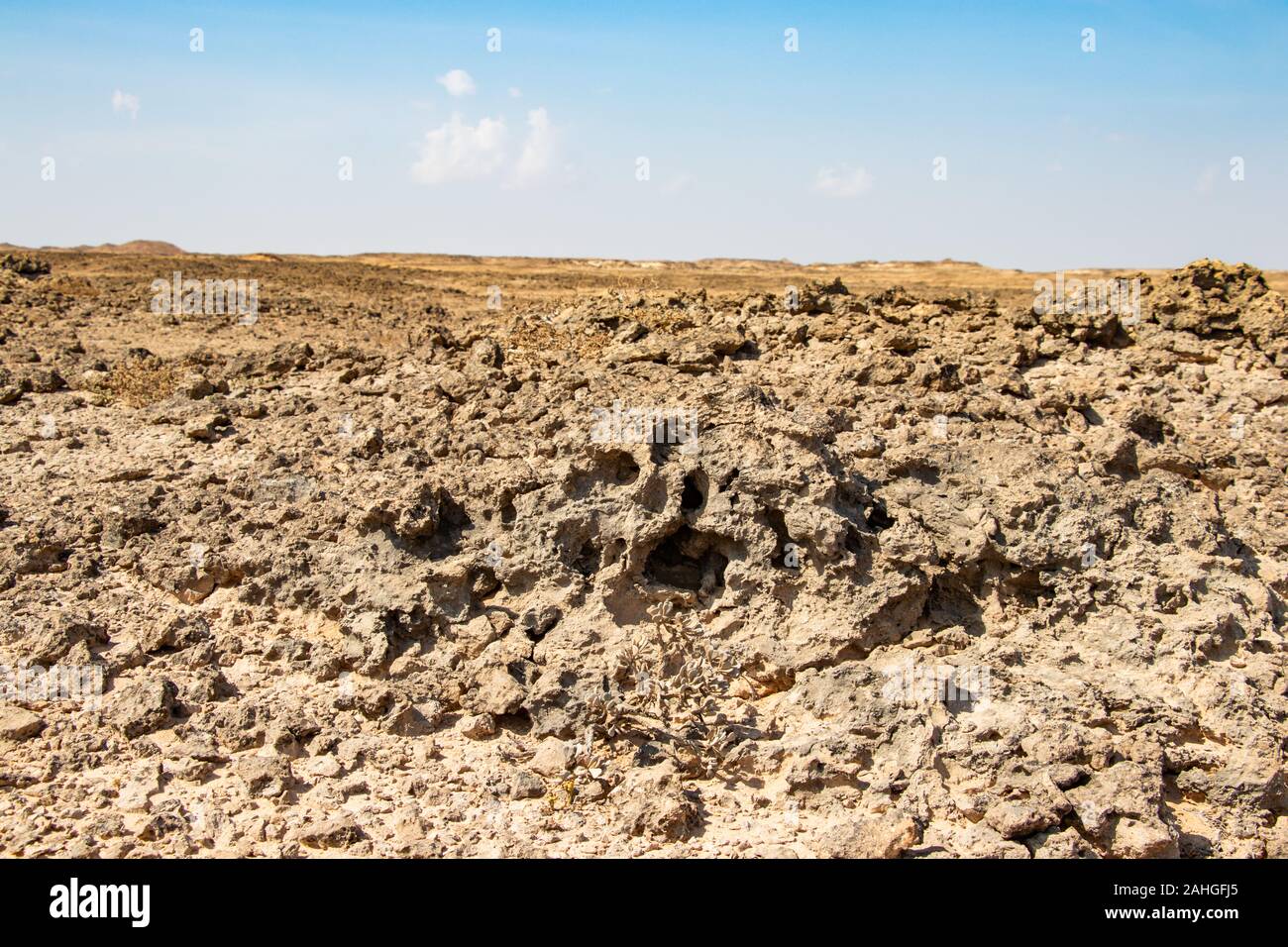 Steinwüste jiddat al Harasis im Oman Stockfoto