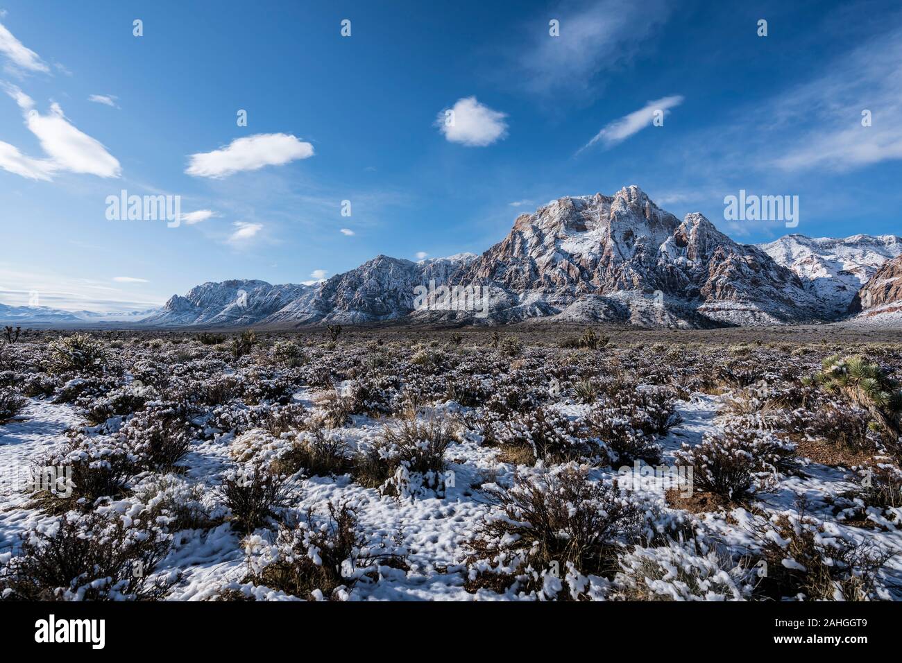 Winter wüste Schnee auf Mt Wilson im Red Rock Canyon National Conservation Area. Eine beliebte Natural Area 20 Meilen von Las Vegas, Nevada. Stockfoto